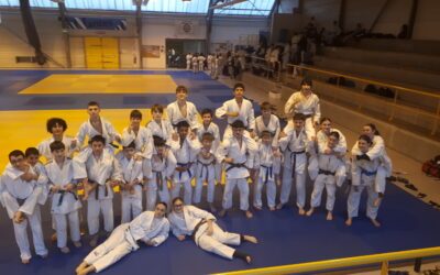 Les judokas, vice-champions académiques se qualifient pour le championnat de France UNSS