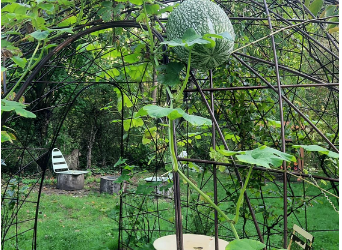 Les élèves de l’atelier Jardin découvrent la maison de l’environnement