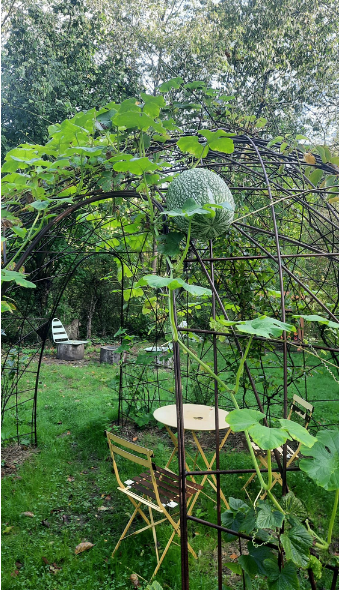 Les élèves de l’atelier Jardin découvrent la maison de l’environnement